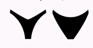 ASHLEY BOTTOM